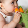 Cathy The Carrot Mini Doudou-Teether - Image 5
