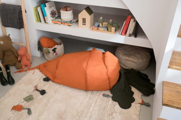 Bean Bag Cathy The Carrot - Lorena Canals