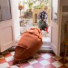Bean Bag Cathy The Carrot - Lorena Canals - Image 6