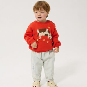 Kids organic cotton jumper by Bobo Choses in red color